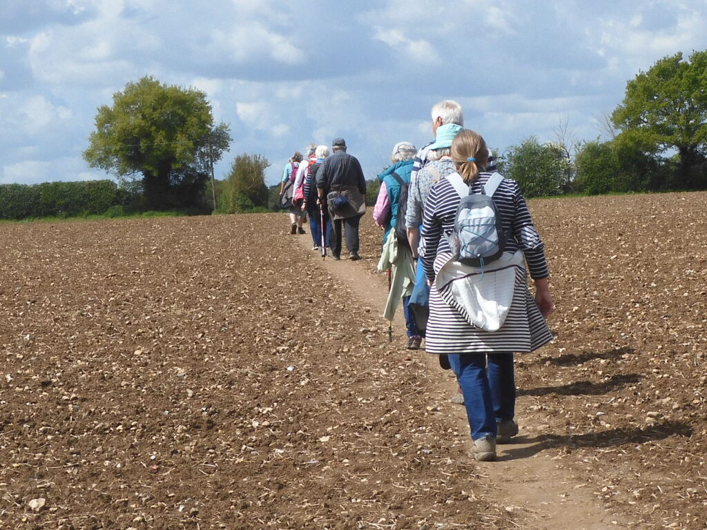 Walkers crossing a field in single file