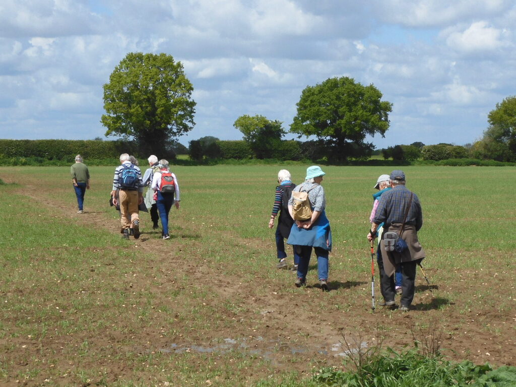 Walkers in the countryside